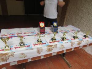 238930328 1202018083600876 5155638469739251225 n