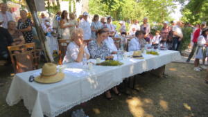 IMG 1162 (1)
