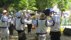 IMG 1185 (1)