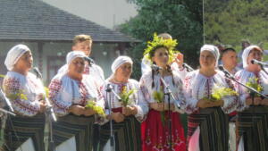IMG 1191 (1)