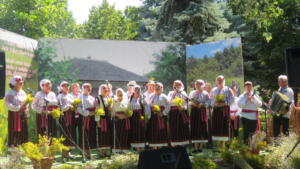 IMG 1203 (1)