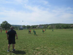 IMG 3760