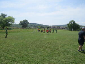 IMG 3761